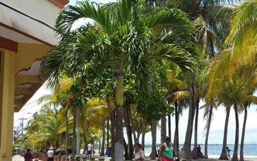 Beachfront Hotel and Restaurant