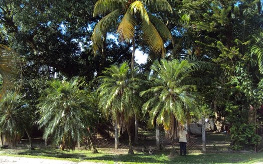 Big Corner Lot with House