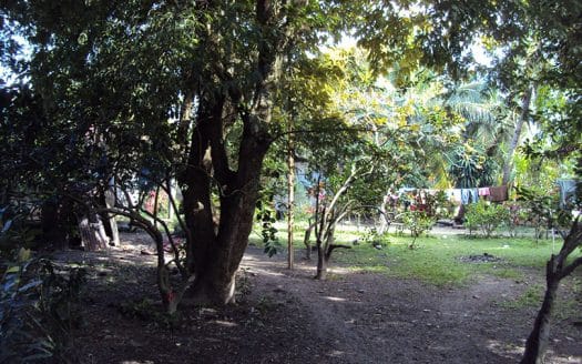 Big Corner Lot with House