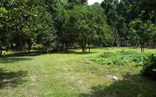 Bungalow and land in Rio Cangrejal