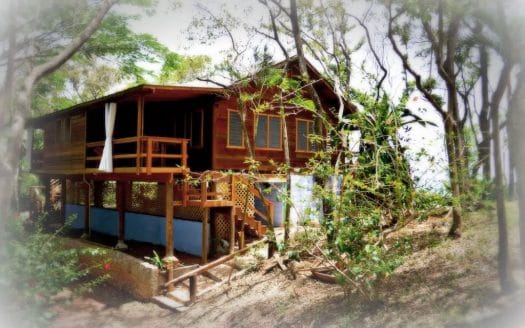 Nice House, 4 Studios in West End area
