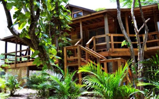 Nice House, 4 Studios in West End area