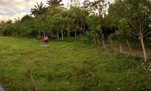 1,066 m² Land on Indura Beach Resort main road