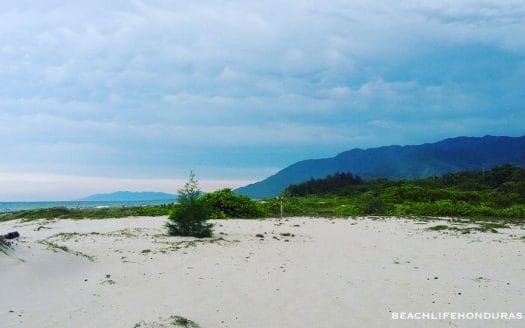 Beautiful Caribbean Homes & Lots in Playa Vida