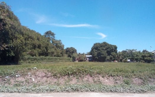 0.64 Acre Lot in Bo. Venecia