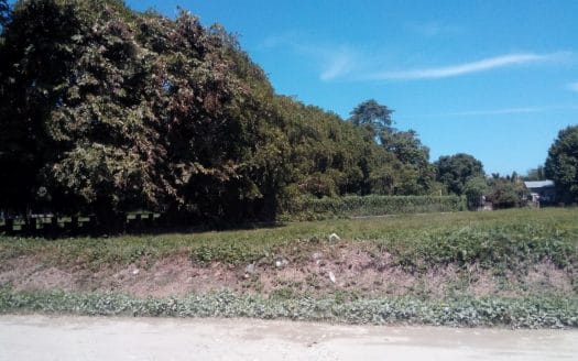 0.64 Acre Lot in Bo. Venecia