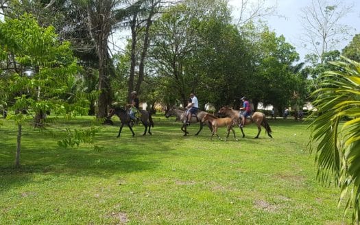 3/4 acre Lot at Trujillo Beach Eco-Resort