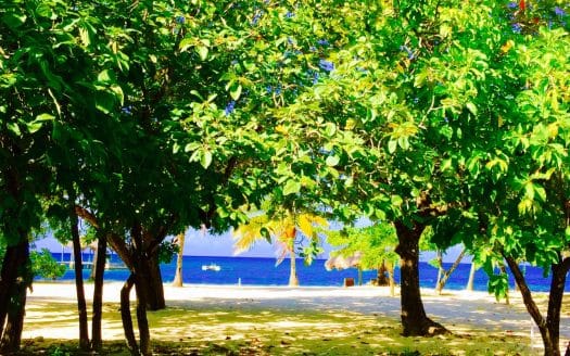 Beachfront Homesite in Palmetto Bay