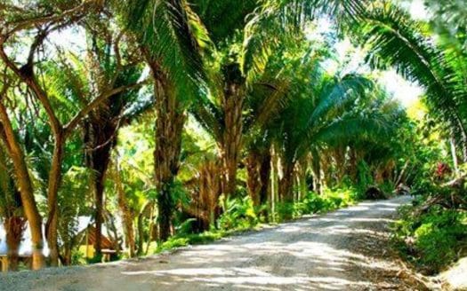 Beachfront Homesite in Palmetto Bay