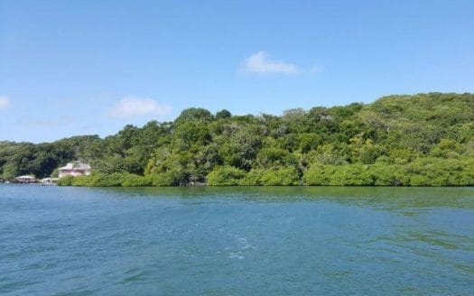 Jonesville, Waterfront Lot #5, Boat Access, Roatan