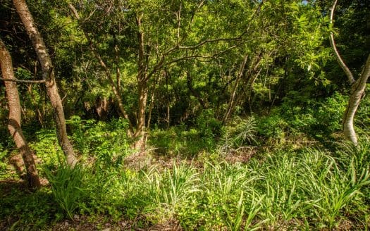 Lot 4 White Rock Hills, Roatan