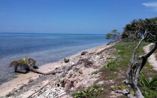 St. Helene, Lot 3, 1 acre, Beachfront, Roatan