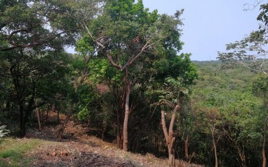 Pollytilly Bight, Ocean View Lot, Roatan