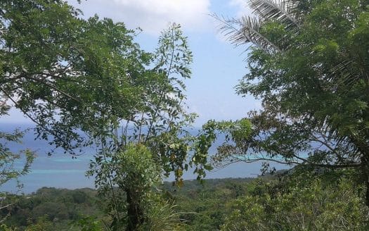 Ocean Views, 0.55 Acre Hillside Lot, Roatan