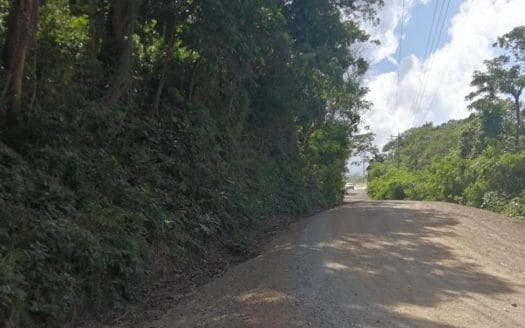 12 Acres, 300 ft of road front land in Diamond Rock