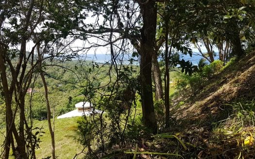 Lot 5 in White Rock Hills