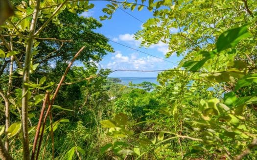 Nice Ocean View Lots in Punta Gorda