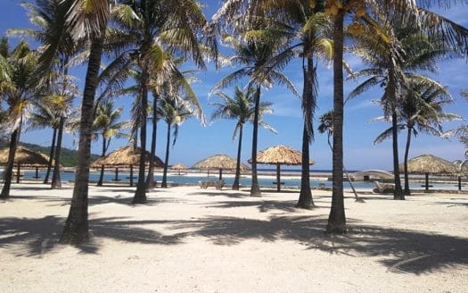 Parrot Tree Plantation, Lot 42, Roatan,