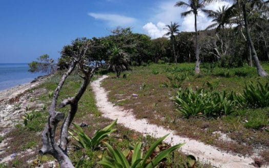 St. Helene, Lot 3, 1 acre, Beachfront, Roatan