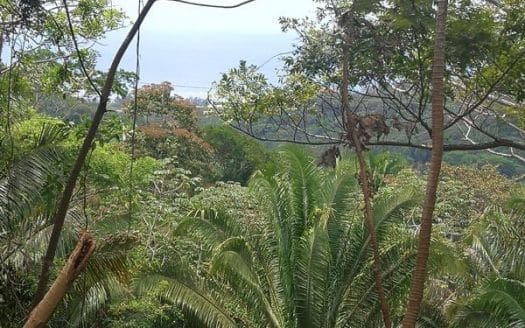 Ocean Views, 0.55 Acre Hillside Lot, Roatan