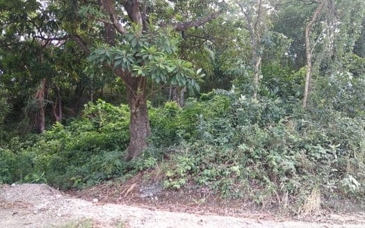 12 Acres, 300 ft of road front land in Diamond Rock