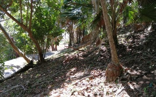 Overlooking the Marina, Lot 133, Parrot Tree, Roatan