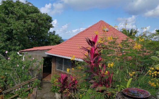 View Home with Pool+ Apartment, Roatan