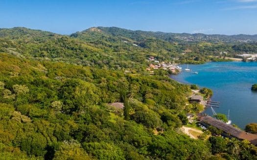 2.45 Acres Lushes Property in Brick Bay