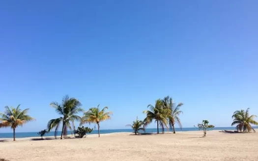 975 m² Beachfront Lot in La Ceiba Beach Club