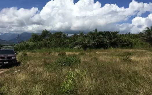 975 m² Beachfront Lot in La Ceiba Beach Club