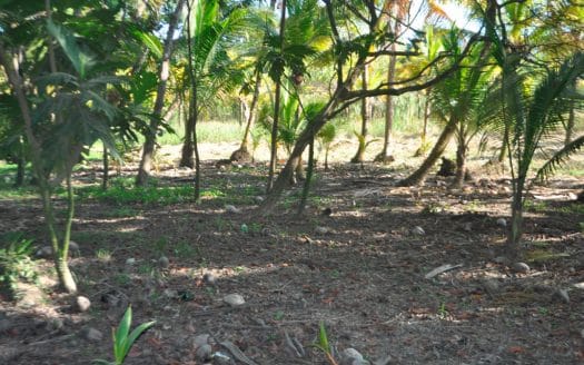 Ocean Views, 0.55 Acre Hillside Lot, Roatan