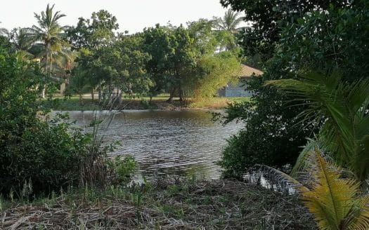 14,403 m2 (3.559 a) Land in Tela Bay