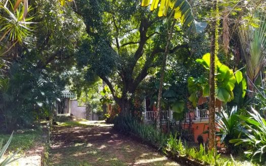 3 Bed, 3 Bath House near Palma Real Resort, La Ceiba